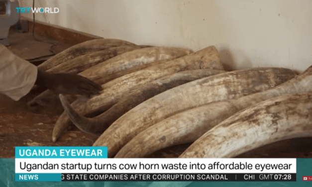 Ugandan start-up turns cow horn waste into affordable eyewear